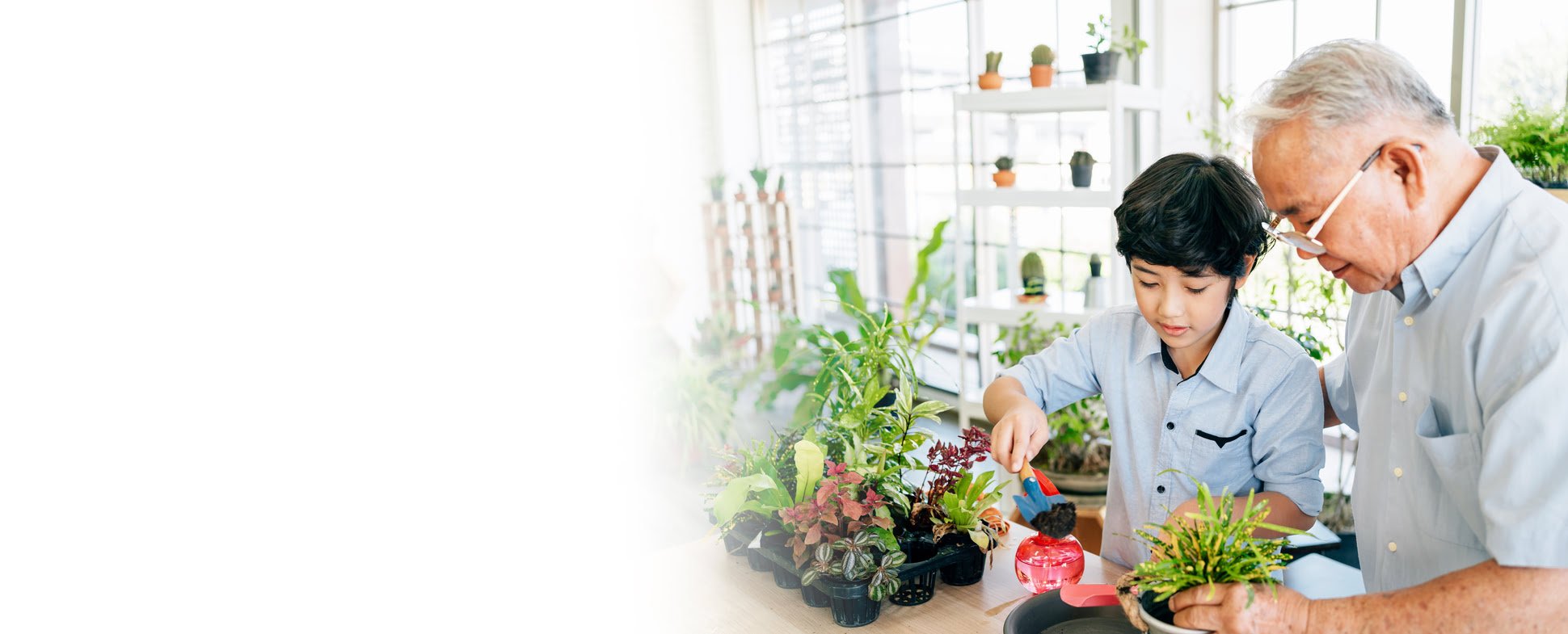 Kidney Disease & Dialysis Treatments Fresenius Kidney Care Philippines